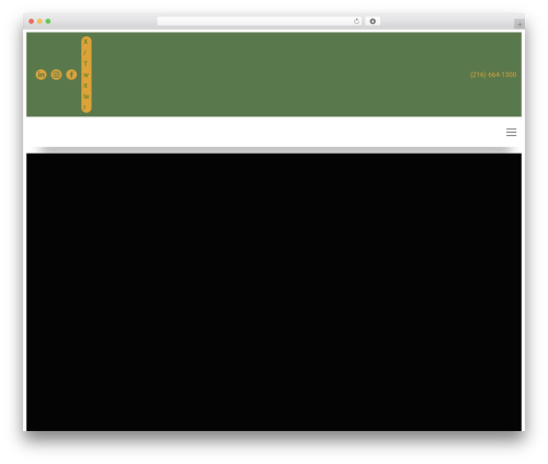 Visual Composer Starter WordPress theme - andersonbiro.com