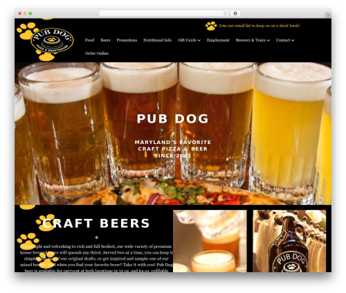 Beaver Builder Theme WordPress theme - pubdog.com