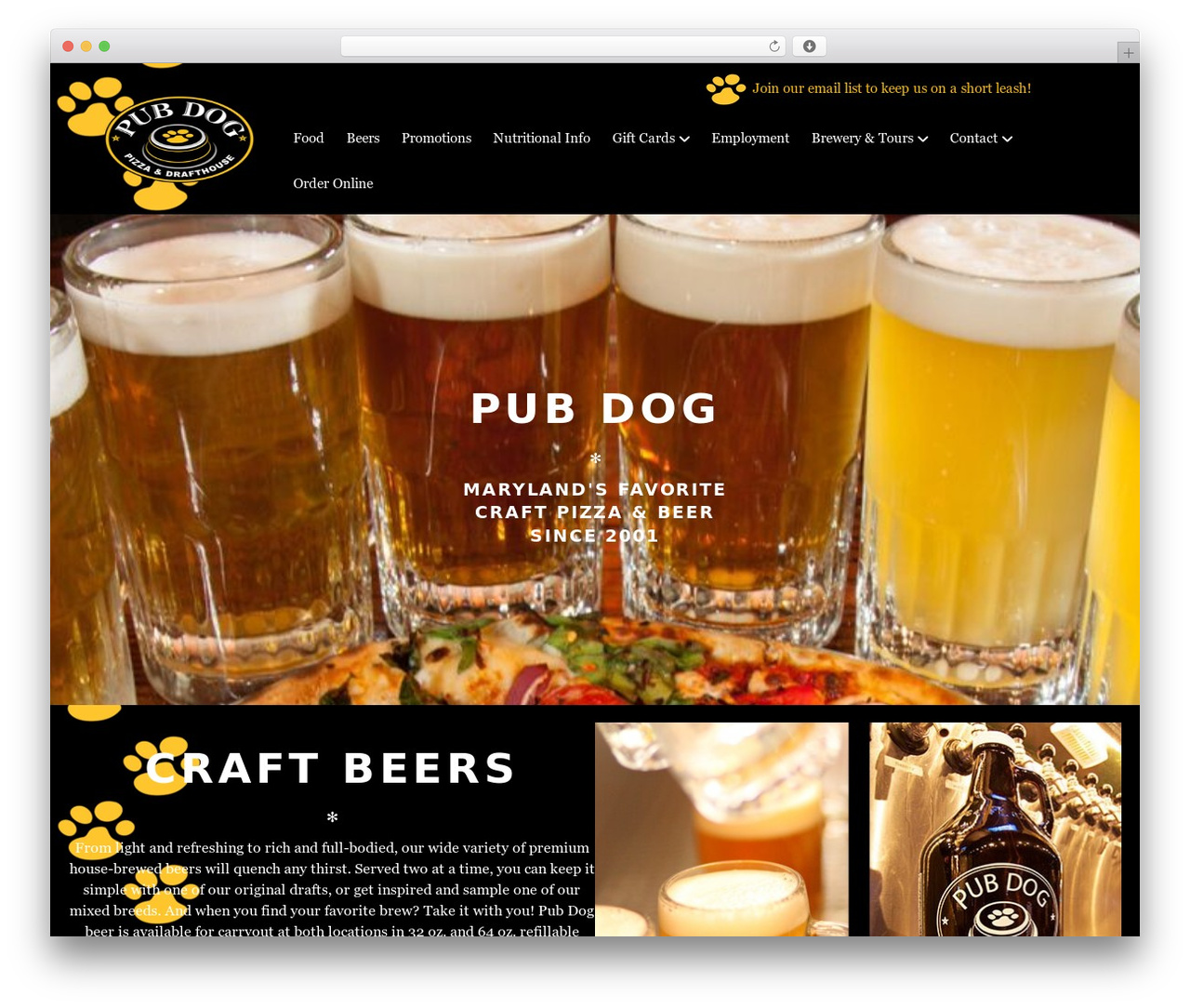 Beaver Builder Theme WordPress theme - pubdog.com