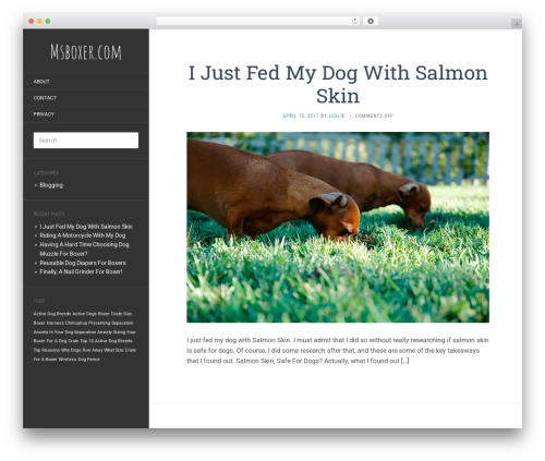 Flat WordPress theme - msboxer.com