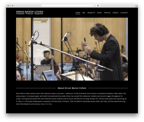 Salient theme WordPress - erranbaroncohen.com