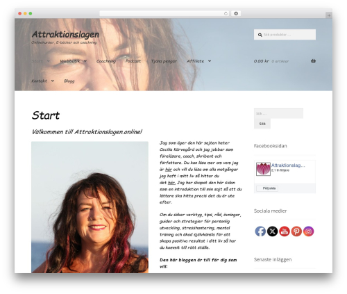 Social Menu Icons (social-menu-icons) free WordPress plugin - attraktionslagen.online