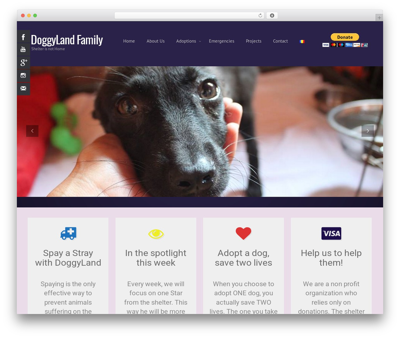 Theme WordPress evolve - doggylandfamily.ro