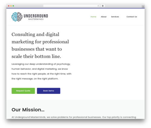 Owl Carousel WP (owl-carousel-wp) free WordPress plugin - undergroundmasterminds.com
