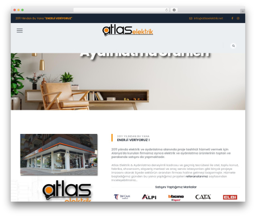 Themetechmount boldman extras WordPress plugin - atlaselektrik.net