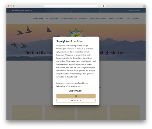 number-two WordPress theme - medicinhjulet.dk
