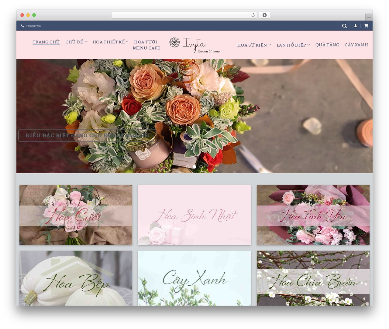PT theme WordPress - ivyta.com PT theme WordPress - ivyta.com