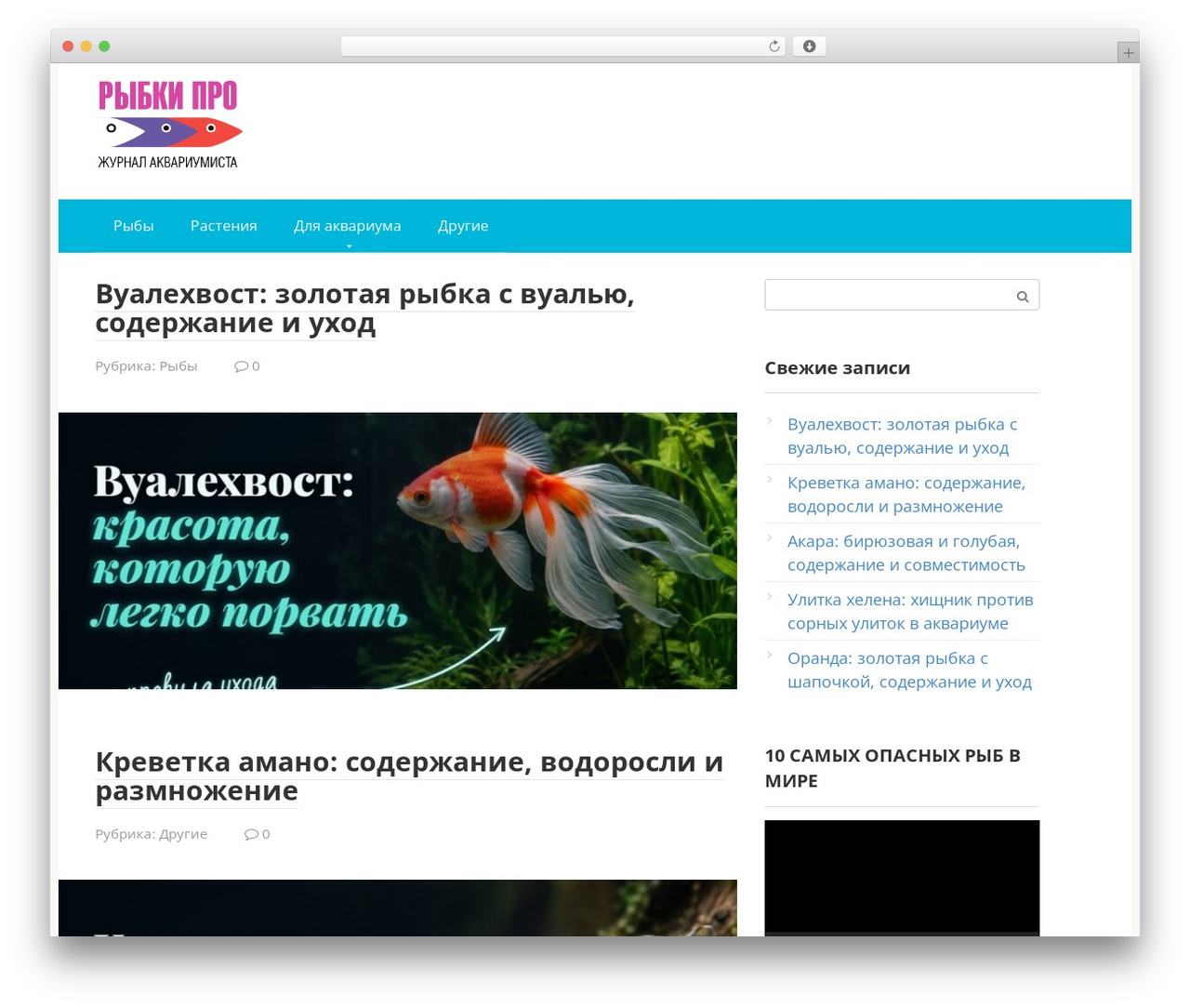 WordPress theme Root - rybkipro.ru WordPress theme Root - rybkipro.ru
