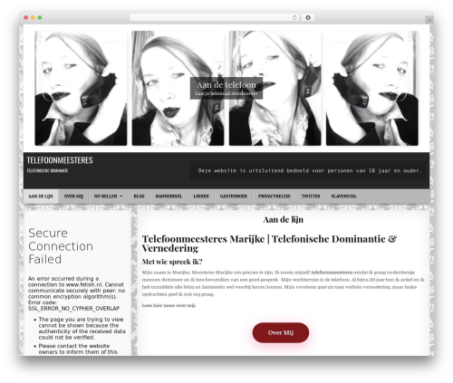 WordPress theme Simple Grid PRO - telefoonmeesteres.nl