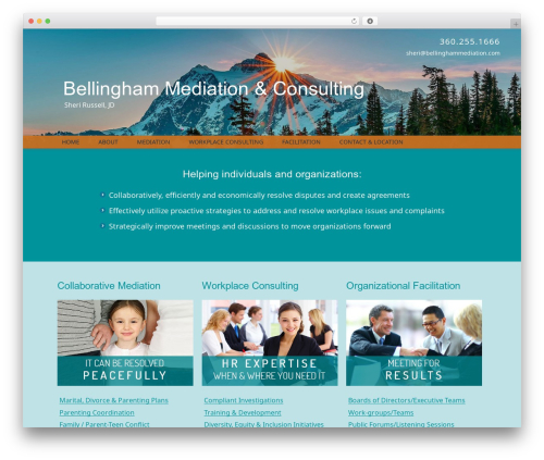 Social Media Icons Widget (spoontalk-social-media-icons-widget) free WordPress plugin - bellinghammediation.com