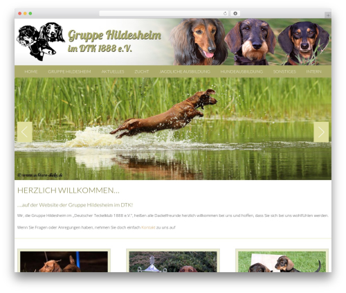 ToTop Link (totop-link) free WordPress plugin - teckelklub-hildesheim.de ToTop Link (totop-link) free WordPress plugin - teckelklub-hildesheim.de