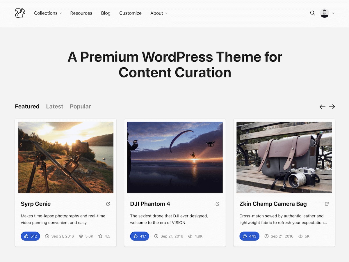 Chipmunk Theme WordPress theme
