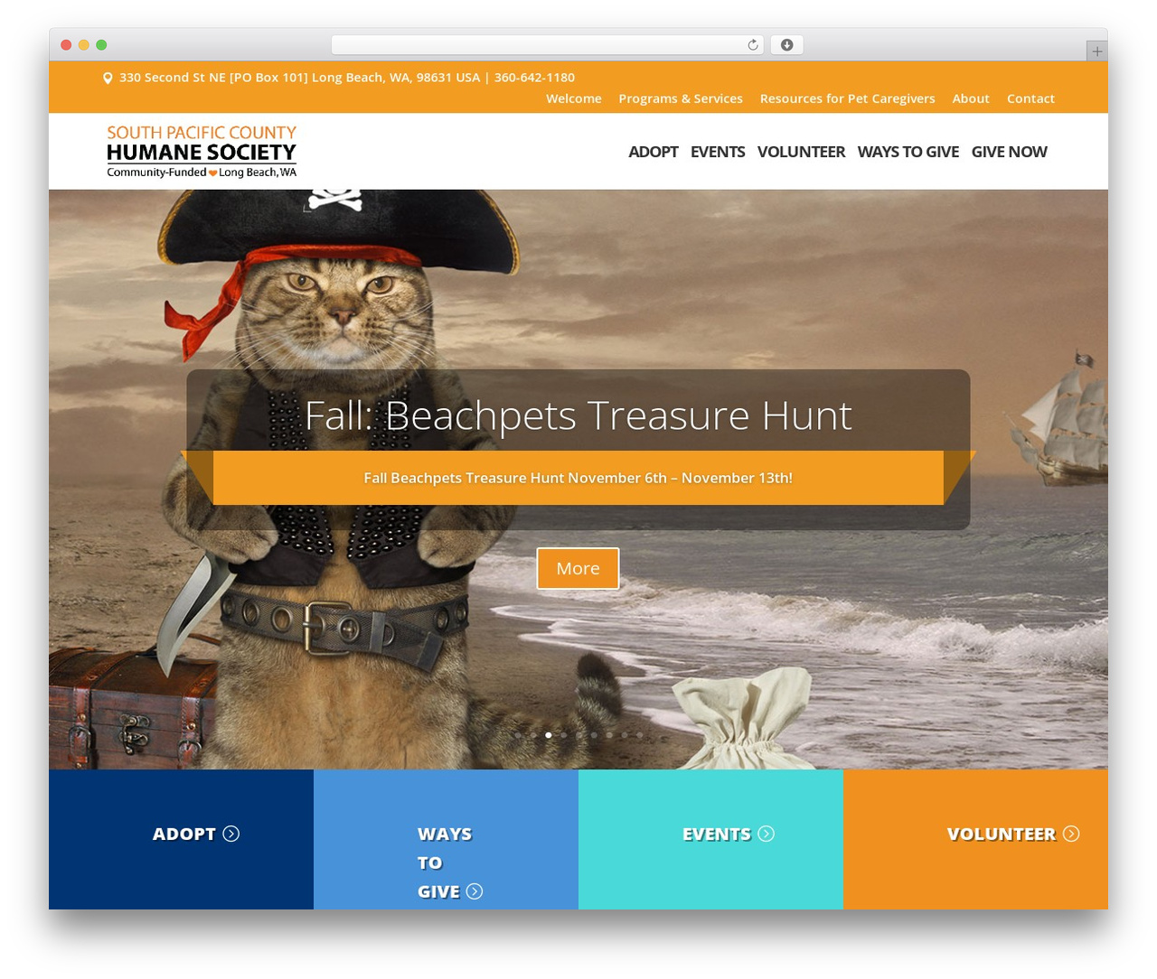 Divi WordPress theme - beachpets.com Divi WordPress theme - beachpets.com