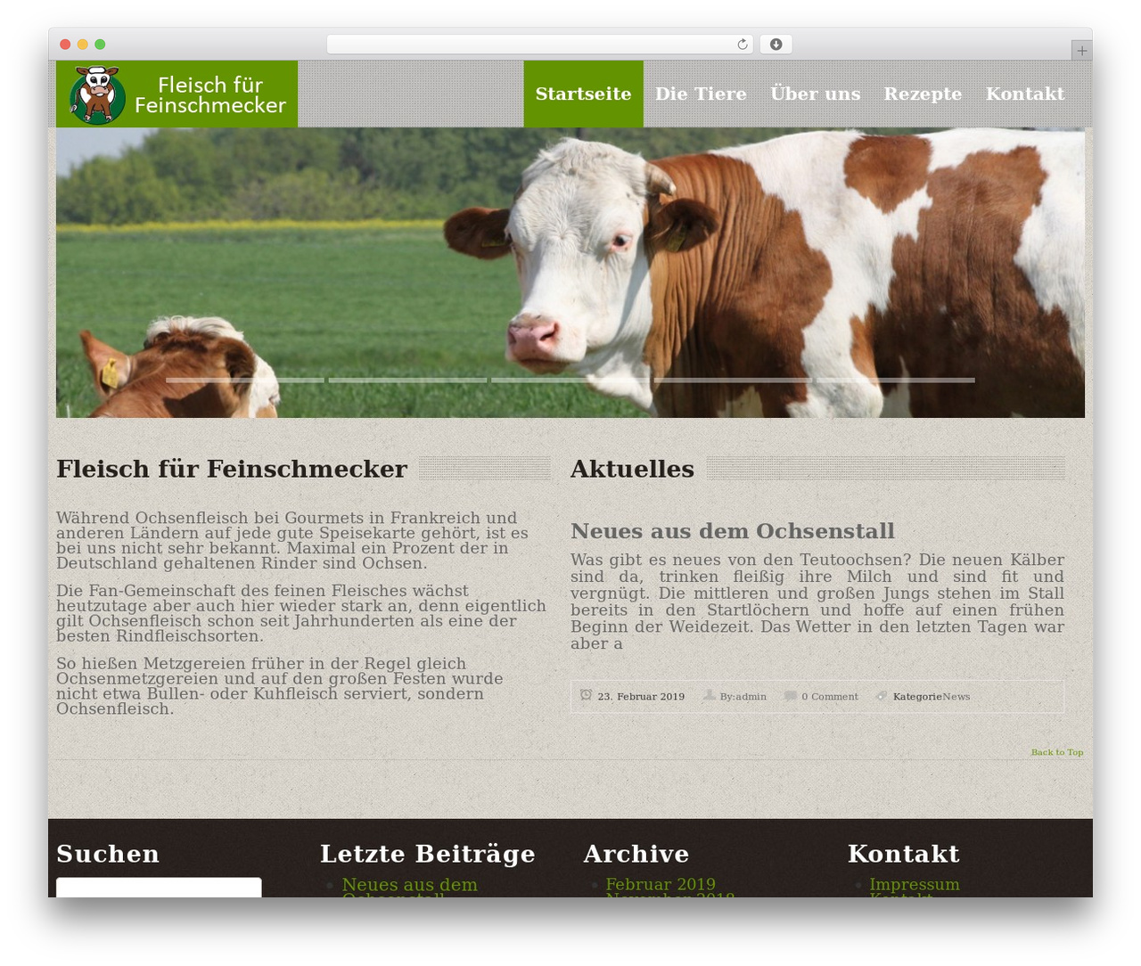 Green Theme WordPress theme - teuto-ochse.de