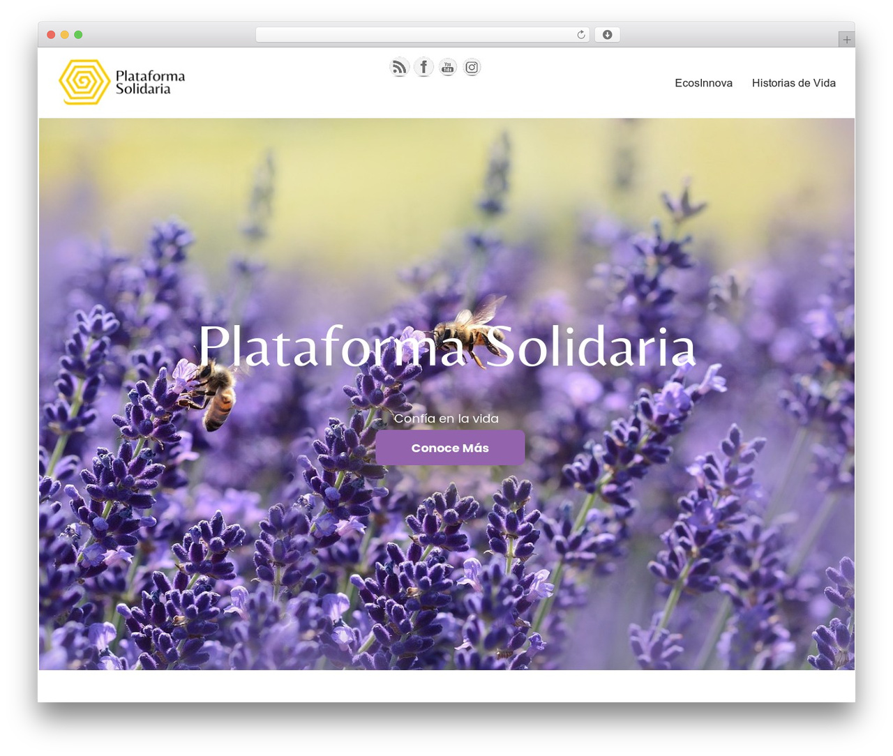 Neve WordPress theme - plataformasolidaria.com