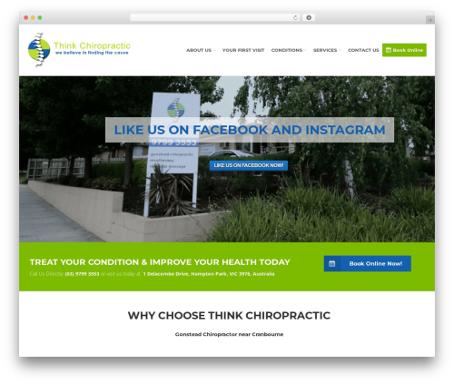 Theme WordPress Slupy WordPress Theme - thinkchiropractic.com.au