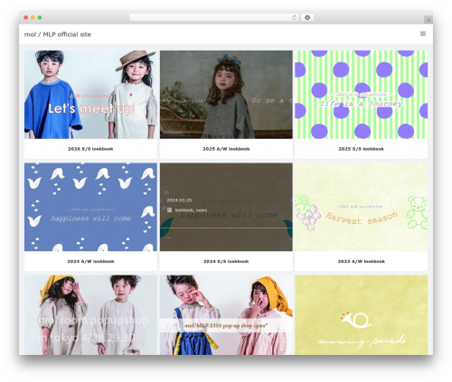 VIEW WordPress theme - molroom.com