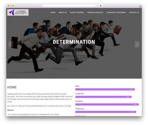 Custom tables WordPress plugin - leadingauthority.co.za