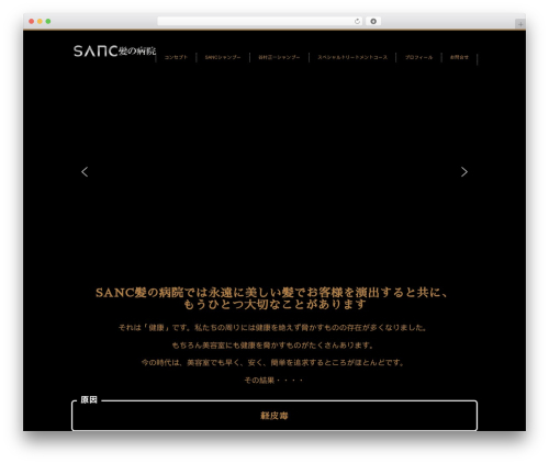 WordPress website theme Gallery TCD012 - sanc-hair.net