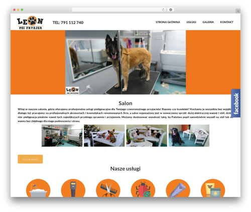 Instagram Followers Widget (instagram-followers-widget) free WordPress plugin - leonpsifryzjer.com