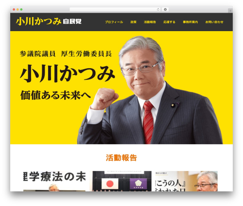 Best WordPress theme Asteria Lite - ogawa-katsumi.com