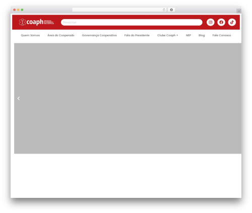 Tenweb builder WordPress plugin - coaph.com.br