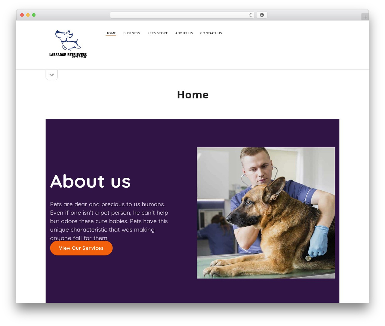 WordPress theme Founder - labrador-retrievers.com.au