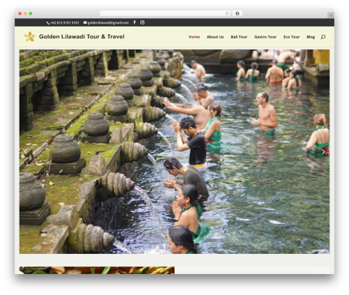 Plethora Plugins Tabs + Accordions (plethora-tabs-accordions) free WordPress plugin - goldenlilawadi.com