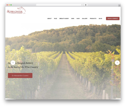 Theme WordPress Progery - thejacobscenter.com