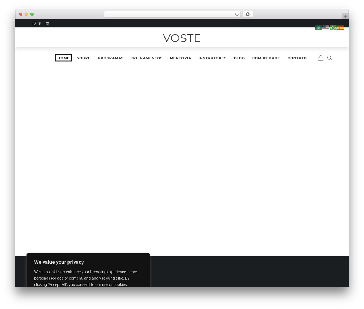 WordPress theme Efor - voste.com.br