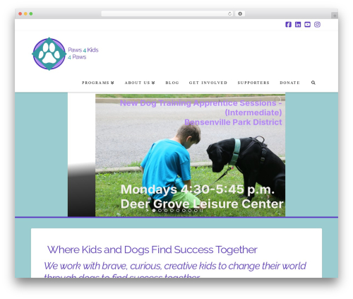Charitable pro WordPress plugin - paws4kids4paws.org