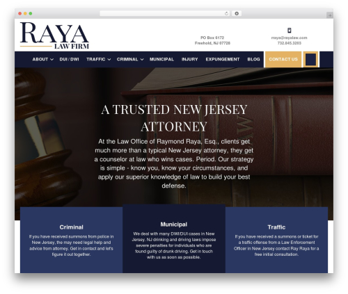 Sub page summary WordPress plugin - rayalaw.com