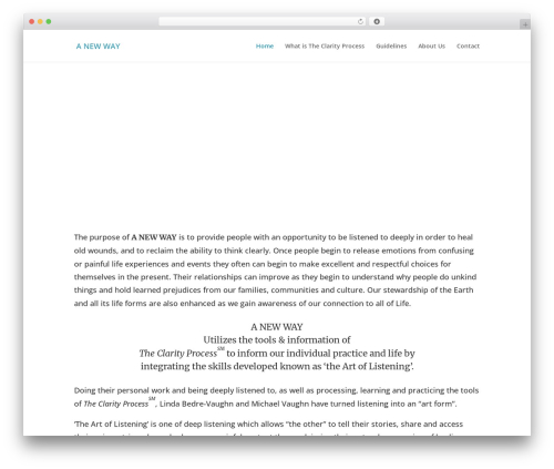 Divi WP theme - anewway-theclarityprocess.com