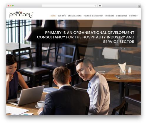 Primary WP theme - primary-lts.com