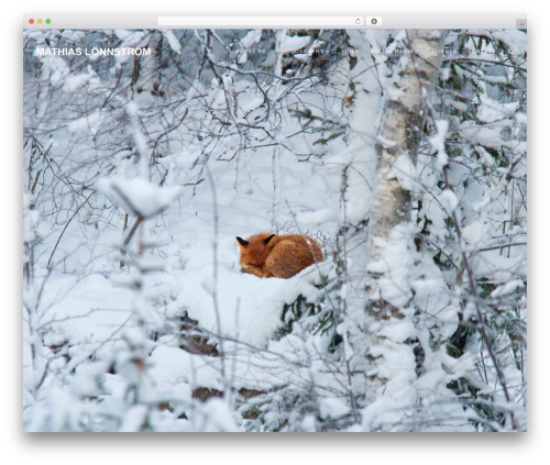 Shutterbird personal blog example - mathiaslonnstrom.com Shutterbird personal blog example - mathiaslonnstrom.com