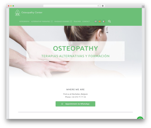 Wa chat for wp WordPress plugin - osteothaitherapy.com