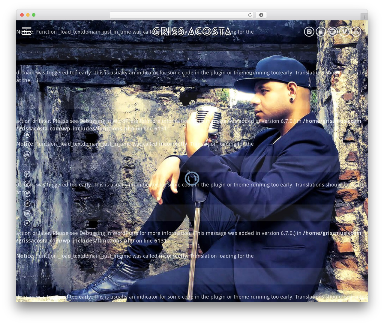 WordPress theme Vice - grissacosta.com
