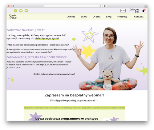 Debug Log Manager (debug-log-manager) free WordPress plugin - skarbyjogidladzieci.pl