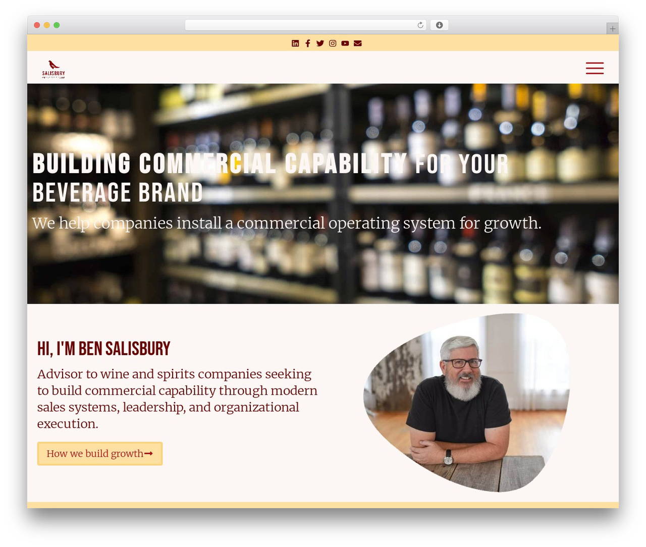 Hello Elementor theme WordPress - salisburycreative.com