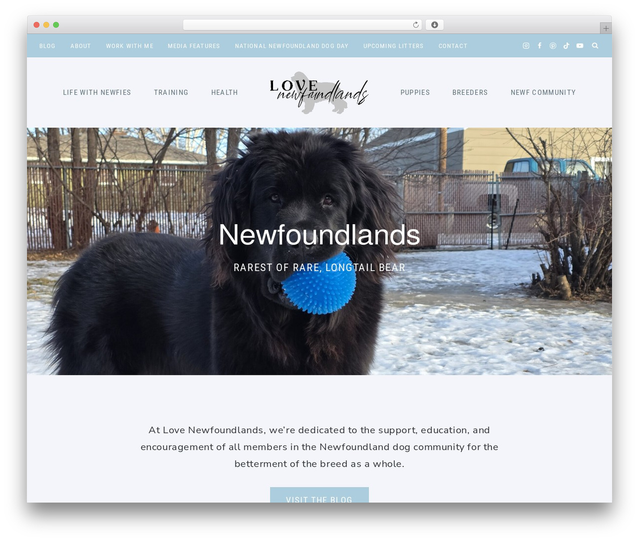 WordPress theme Kadence - lovenewfoundlands.com WordPress theme Kadence - lovenewfoundlands.com