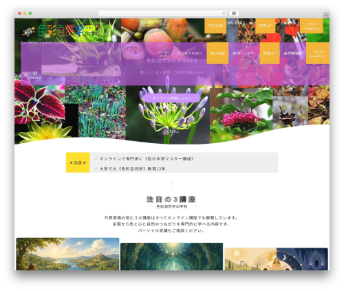 Best WordPress theme Emanon Premium - colorpsychologytherapist.net