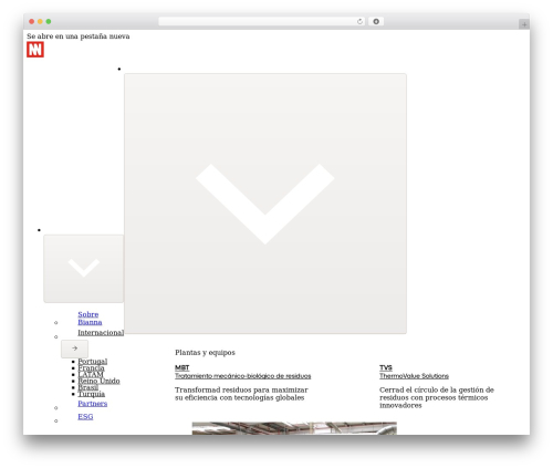Bricks WordPress theme - bianna.com