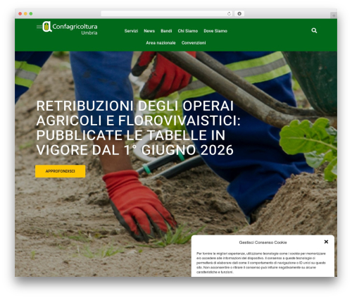 Dzs videogallery WordPress plugin - confagricolturaumbria.it