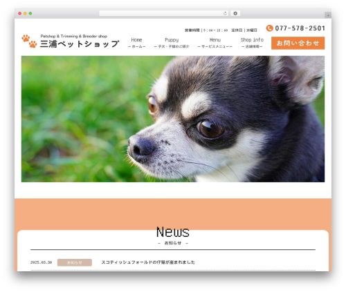 my-theme best WordPress theme - miura-pet.com