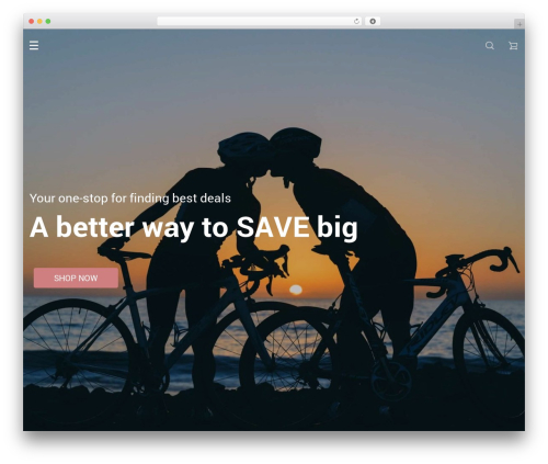Rubens WordPress page theme - bikeaccessoriesworld.com