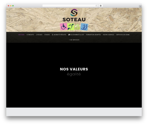 Mihdan index now WordPress plugin - soteau-auto-ecole-orleans.com