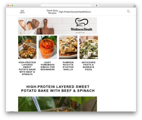 WordPress theme Genesis - wellnesssleuth.com