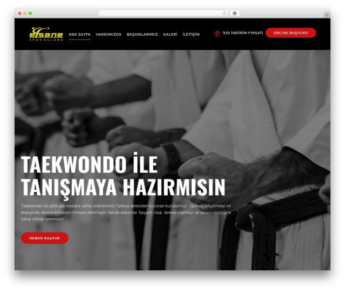WordPress theme Maco - efsanespor.com