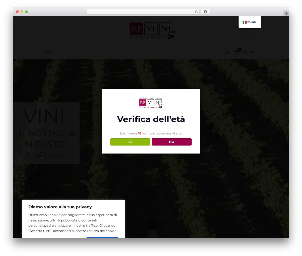 Betheme WordPress theme - revini.it