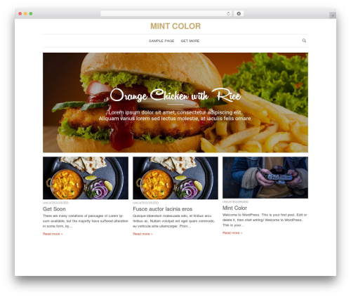 Blog theme WordPress - mintcolors.com